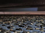 Black and striped sunflower seeds for birds and animals, black oil seed for bird feed - фото 1
