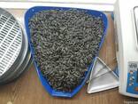 Black sunflower seeds - photo 2