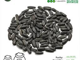 Black sunflower seeds TastySun 3,6
