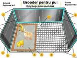 Брудер для обогрева цыплят, утят, перепелов, для маточника. - фото 2