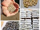 Bulk sunflower kernels, sunflower hearts, sunflower chips bird food - фото 3