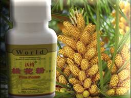 Capsule Polen de pin