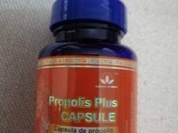 Capsule Propolis Plus
