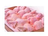 Cheap Wholesale Top Quality Halal Frozen Whole Chicken and parts In Bulk - фото 2