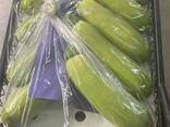 Цукини - фото 2