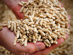 Europe Wood Pellets DIN PLUS / ENplus-A1 Wood Pellets from Romania