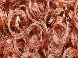 Export Good Quality Red Copper Mill berry Scrap Copper Wire
