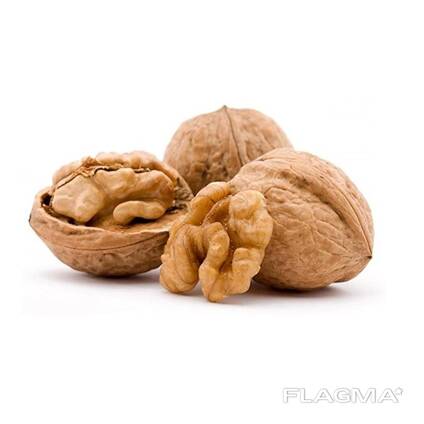 Factory Supply Lowest Price Walnut Inshell Wholesale Cheap Price Exporters