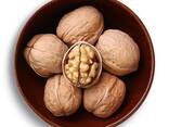 Factory Supply Lowest Price Walnut Inshell Wholesale Cheap Price Exporters - фото 5
