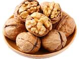 Factory Supply Lowest Price Walnut Inshell Wholesale Cheap Price Exporters - фото 9