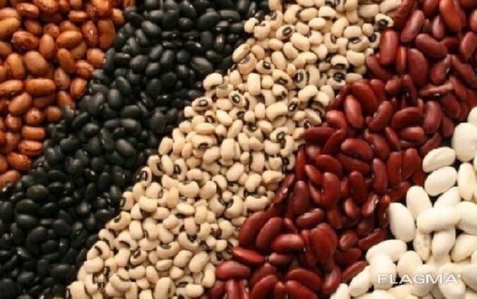 Фасоль в ассортименте