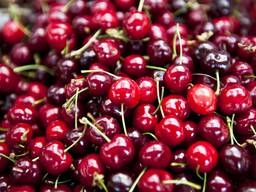 Firma din Moldova exporteaza legume si fructe. The company from Moldova exports vegetables