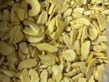 Freeze dried fruits wholesale - photo 9