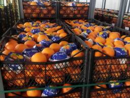 Fructe la preț angro