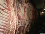 Говядина - фото 2