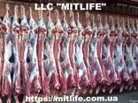 Говядина Телятина Мясо Халяль оптом Украина LLC Mitlife - фото 1
