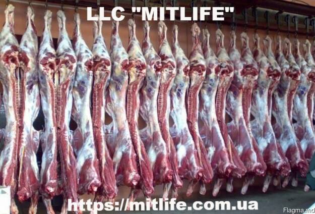 Говядина Телятина Мясо Халяль оптом Украина LLC Mitlife
