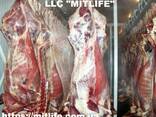 Говядина Телятина Мясо Халяль оптом Украина LLC Mitlife - фото 2