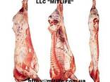 Говядина Телятина Мясо Халяль оптом Украина LLC Mitlife - фото 3
