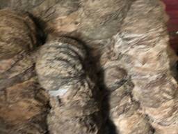 Говяжьи книжки