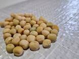 Grain for sale, wheat, rapeseed, barley and yellow peas - фото 1