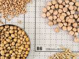 Grain for sale, wheat, rapeseed, barley and yellow peas - photo 1