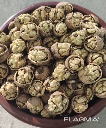 Грецкий Орех в скорлупе.