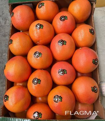 Грейпфрут прямой экспорт из Турции