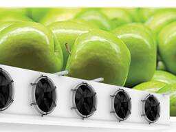 Холодильная камера для хранения фруктов (фруктохранилище)