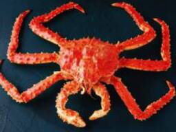 Hot Sale Frozen and Live King Crabs King Crab Meat king crab Clusters for export