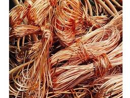 Hot Selling Price Of Copper Wire Scrap 99.99% / Copper Metal Scraps in Bulk