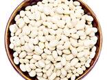 Hot Selling Price Of Organic Dried White Kidney Beans In Bulk Quantity - фото 3