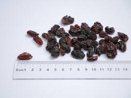 Изюм "Черно-Красный"