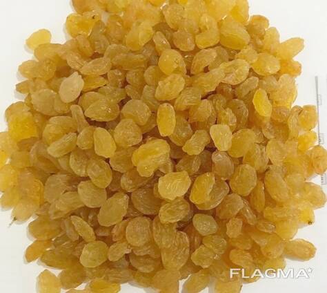 Изюм желтый Выши сорт (Golden)