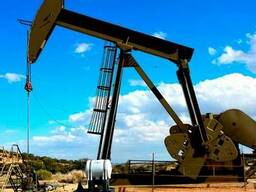 JP54, A1, D2, D6, M100, Сырая нефть, Бензин, LPG, LNG