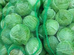 Капуста белокочанная 2023