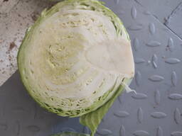 Капуста Ринда РБ 2023