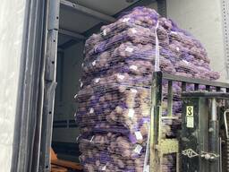 Картофель 6