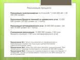 Комплекс газификации и производства электроэнергии 250квт/час - фото 3