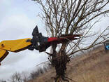 Корчеватель деревьев "Клешня 3в1" для Dieci - в наличии - фото 1