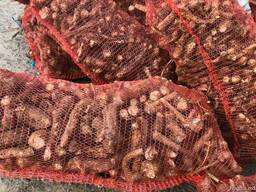 Корень хрена оптом