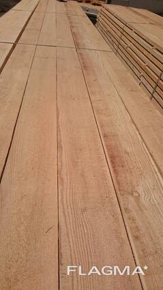 Лиственница сибирская