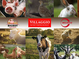 Magazine de nutreț combinat!