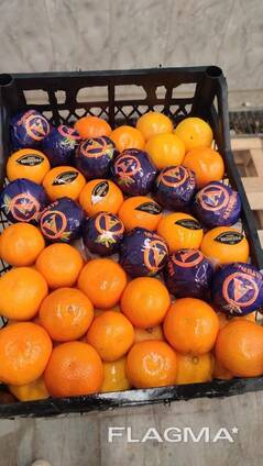 Мандарин Satsuma
