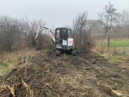 Miniexcavator manipulator basculanta