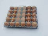 Packaging for eggs, berries, fruits, meat, biscuits