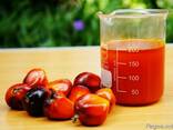 Пальмовое масло "Малазия" (Palm oil) - photo 4