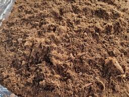 Peat - wholesale purchase