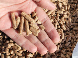 Пеллеты из дерева