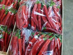 Перец Chili Red и Chili Green